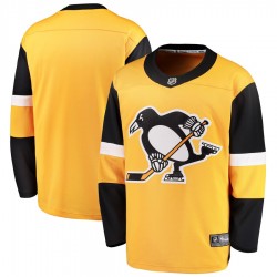 Replica NHL Fanatics Branded Alternate Jersey Pittsburgh Penguins SR